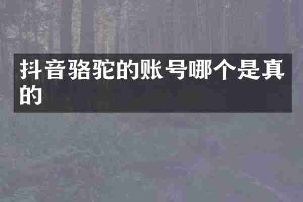 抖音骆驼的账号哪个是真的