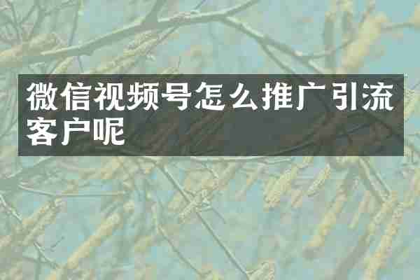 微信视频号怎么推广引流客户呢