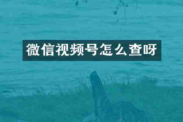 微信视频号怎么查呀