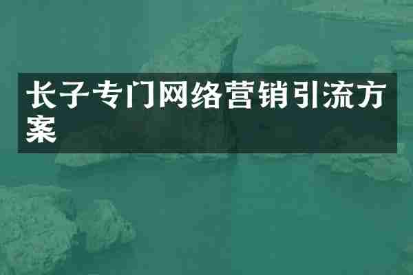 长子专门网络营销引流方案