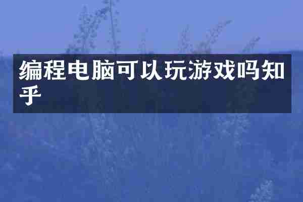 编程电脑可以玩游戏吗知乎