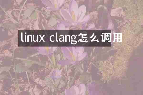 linux clang怎么调用