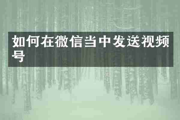 如何在微信当中发送视频号