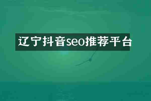 辽宁抖音seo推荐平台