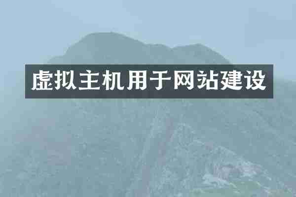 虚拟主机用于网站建设