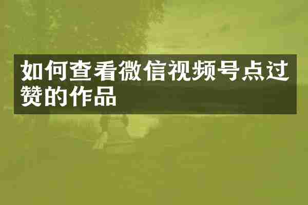 如何查看微信视频号点过赞的作品