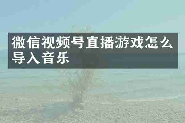 微信视频号直播游戏怎么导入音乐