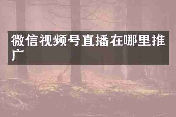微信视频号直播在哪里推广