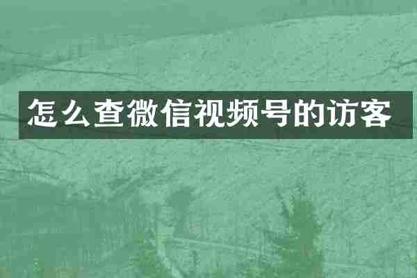 怎么查微信视频号的访客