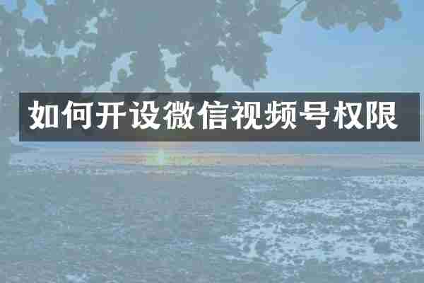如何开设微信视频号权限