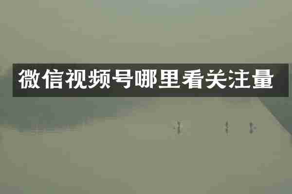 微信视频号哪里看关注量