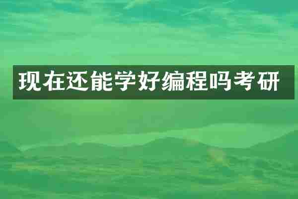 现在还能学好编程吗考研
