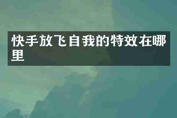 快手放飞自我的特效在哪里