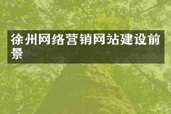 徐州网络营销网站建设前景
