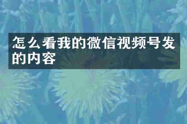 怎么看我的微信视频号发的内容