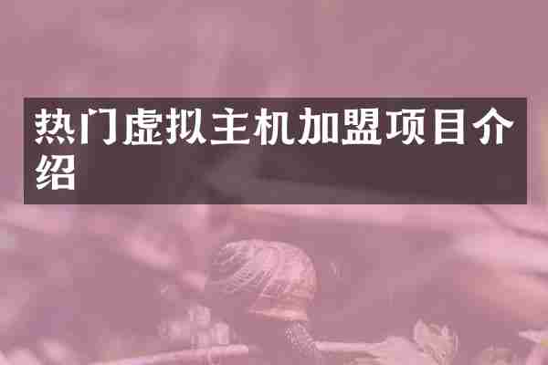 热门虚拟主机加盟项目介绍