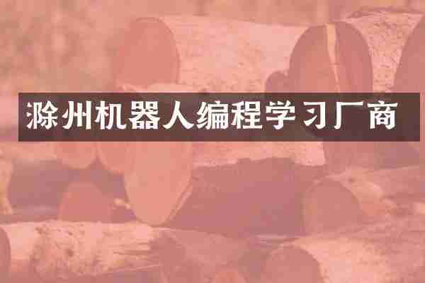 滁州机器人编程学习厂商