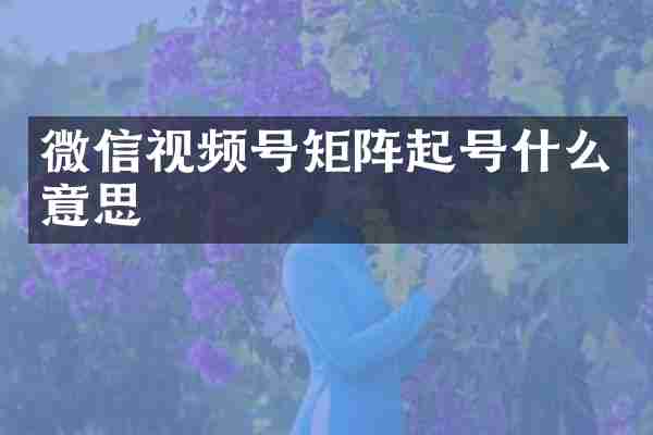 微信视频号矩阵起号什么意思
