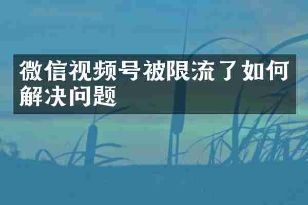 微信视频号被限流了如何解决问题