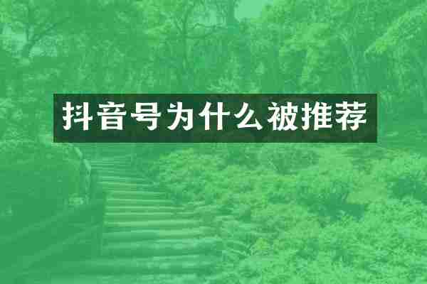 抖音号为什么被推荐