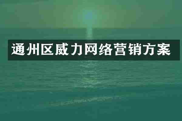 通州区威力网络营销方案
