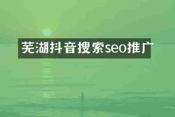 芜湖抖音搜索seo推广