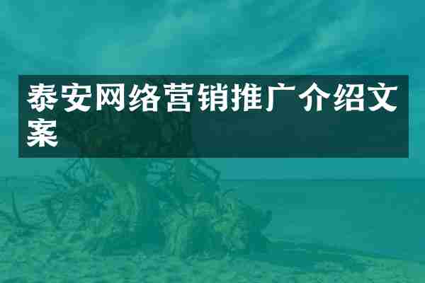 泰安网络营销推广介绍文案