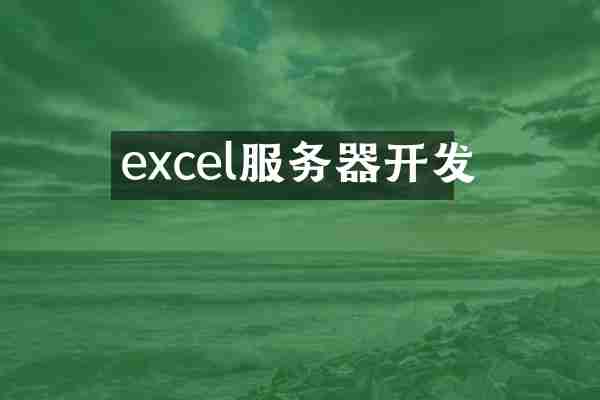 excel服务器开发
