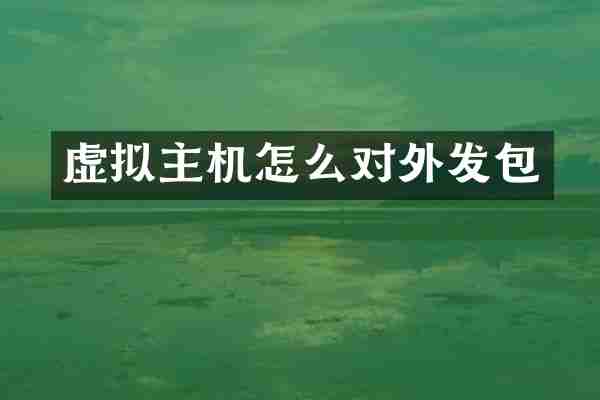 虚拟主机怎么对外发包