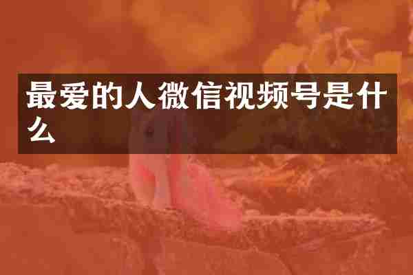 最爱的人微信视频号是什么