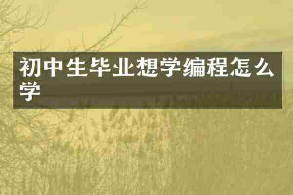初中生毕业想学编程怎么学