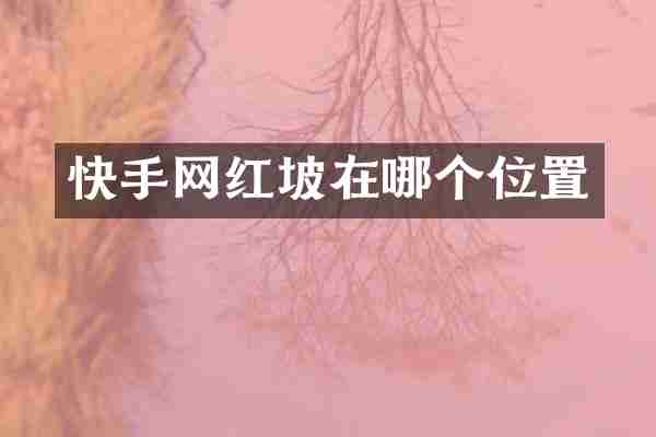 快手网红坡在哪个位置
