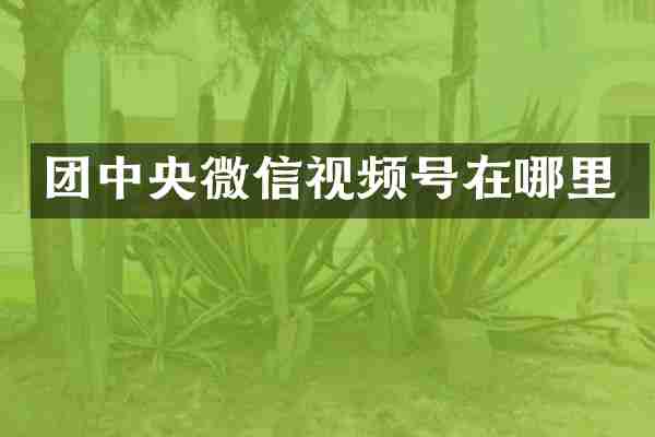 团中央微信视频号在哪里