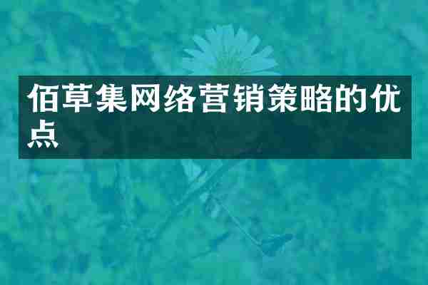 佰草集网络营销策略的优点