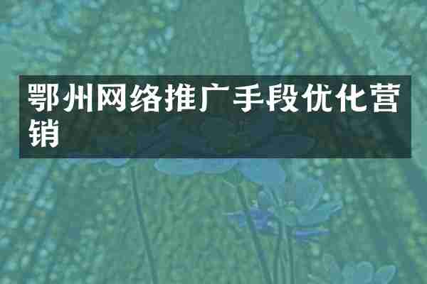 鄂州网络推广手段优化营销