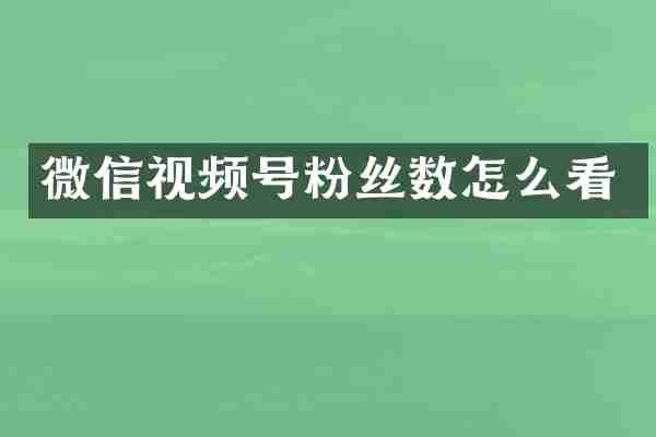 微信视频号粉丝数怎么看