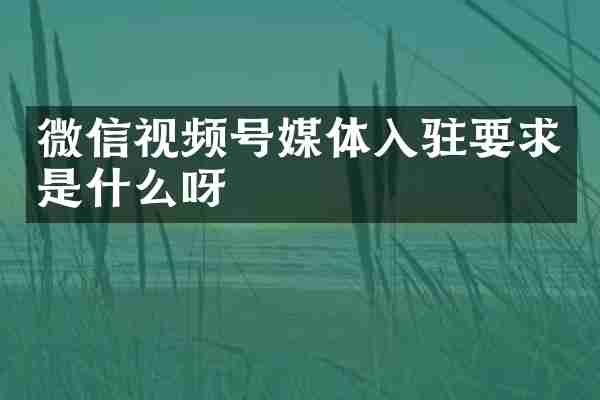 微信视频号媒体入驻要求是什么呀