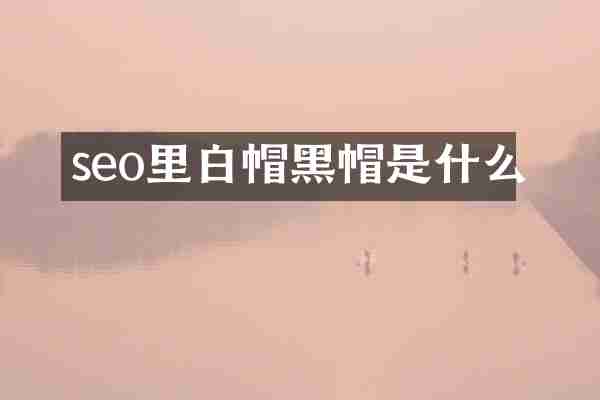 seo里白帽黑帽是什么