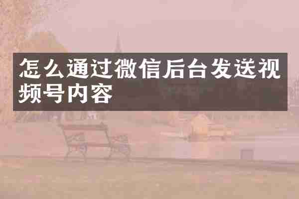怎么通过微信后台发送视频号内容