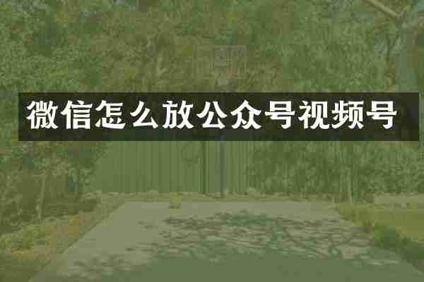 微信怎么放公众号视频号