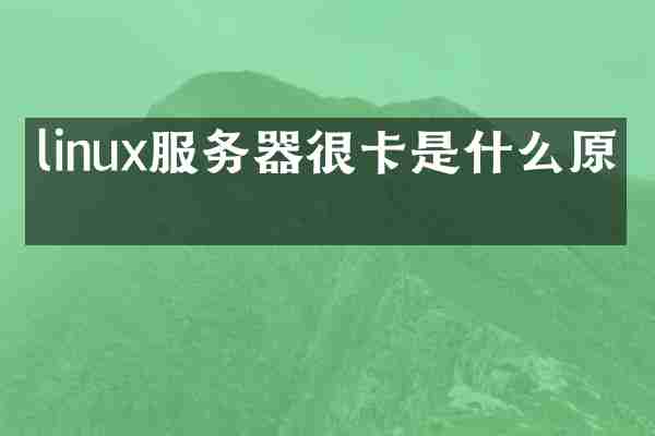 linux服务器很卡是什么原因