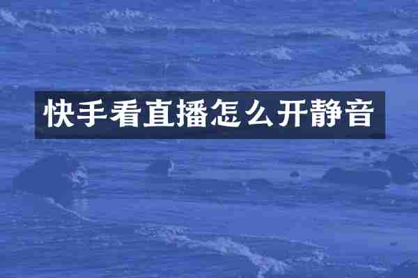 快手看直播怎么开静音