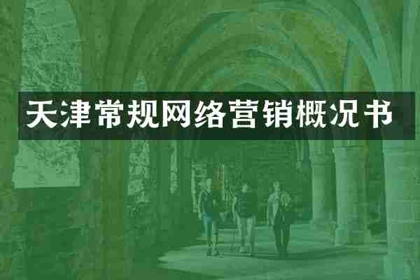 天津常规网络营销概况书