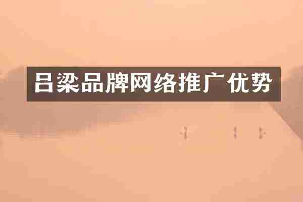吕梁品牌网络推广优势
