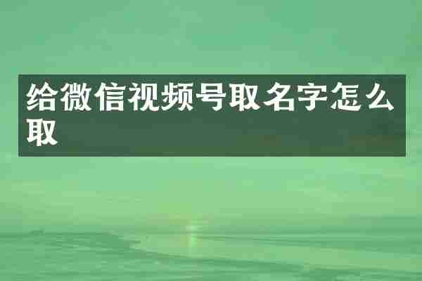 给微信视频号取名字怎么取