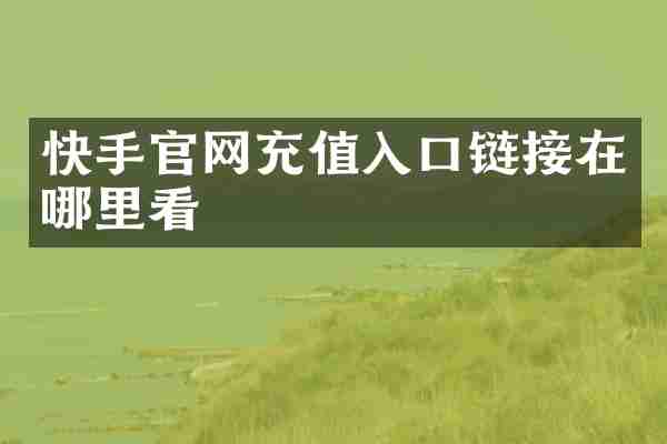 快手官网充值入口链接在哪里看