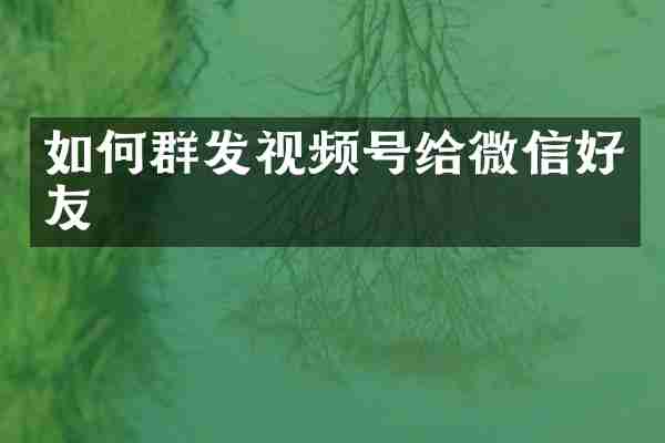 如何群发视频号给微信好友
