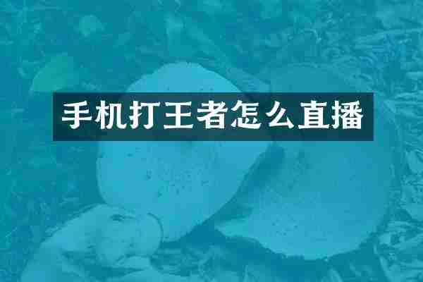 手机打王者怎么直播