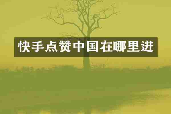 快手点赞中国在哪里进