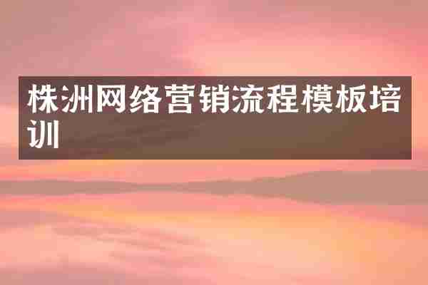 株洲网络营销流程模板培训